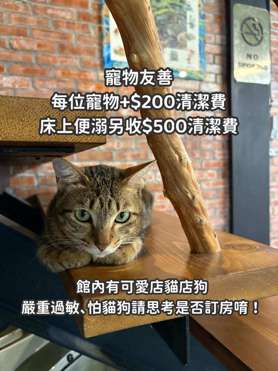 缽割貓點點 青旅 Diandian Hostel Puli Exteriör bild